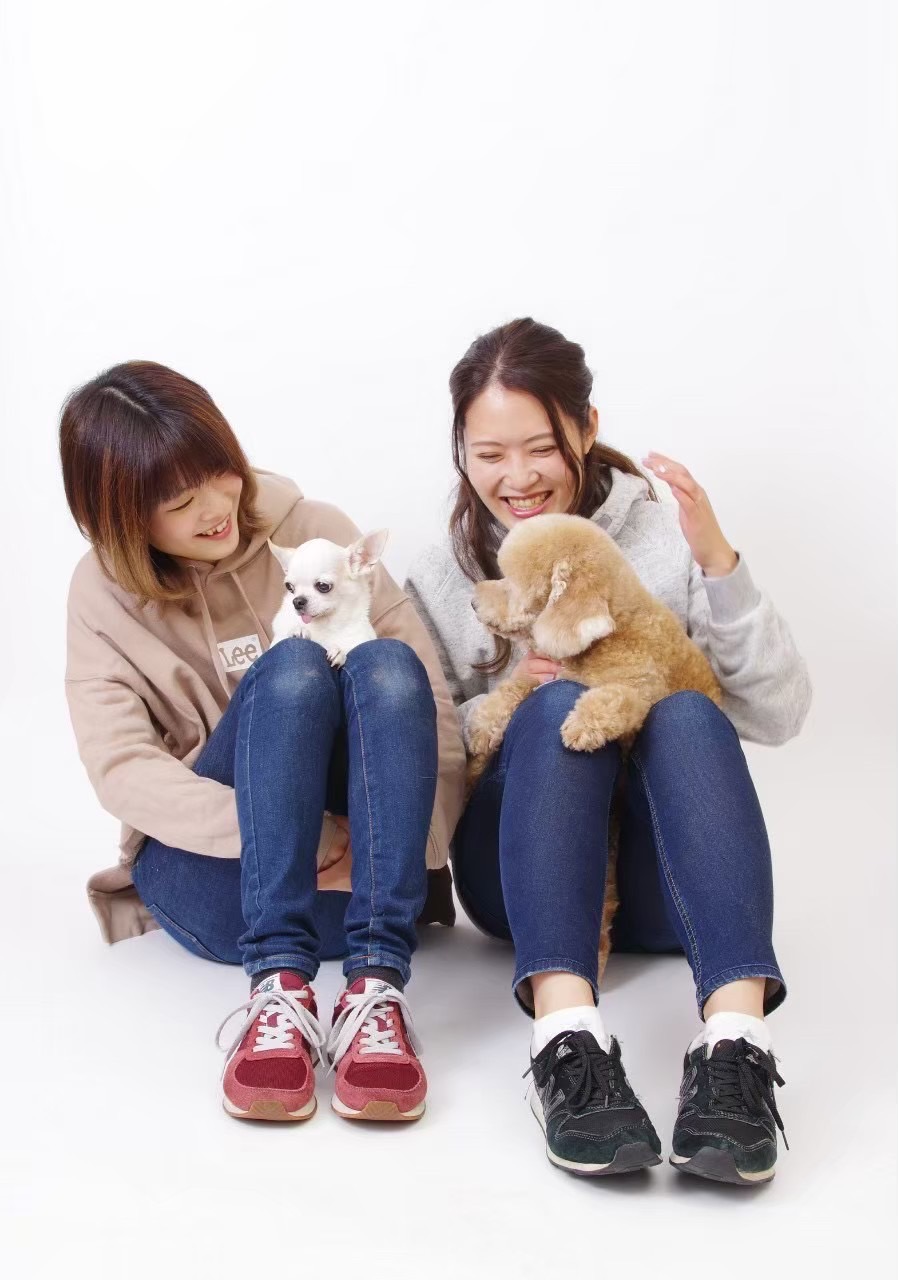 トリマープロフィール