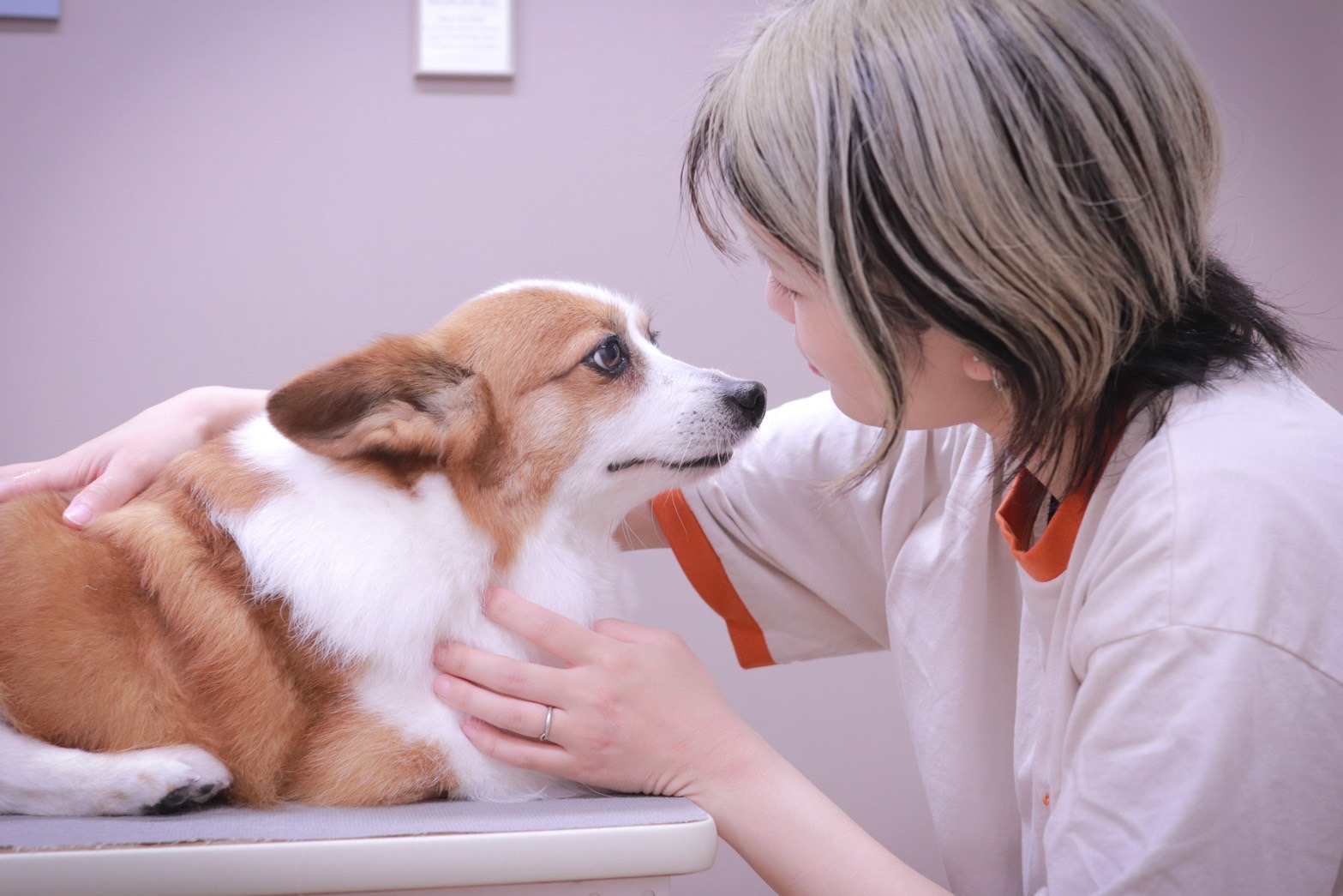 コミュニケーション